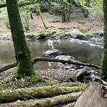 La Maison Attila En Ardennes