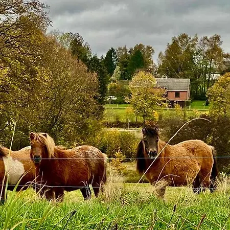 La Maison Attila En Ardennes Prázdninový dům Libin