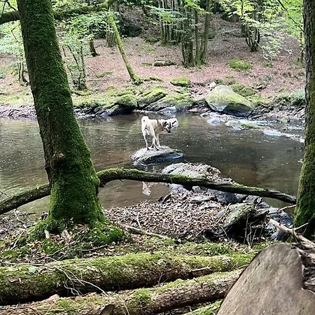 La Maison Attila En Ardennes