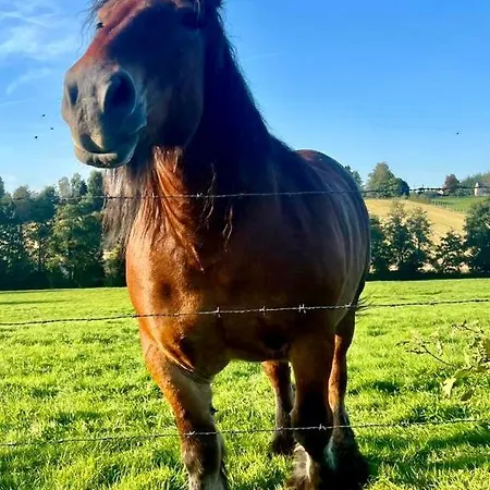 La Maison Attila En Ardennes * Libin