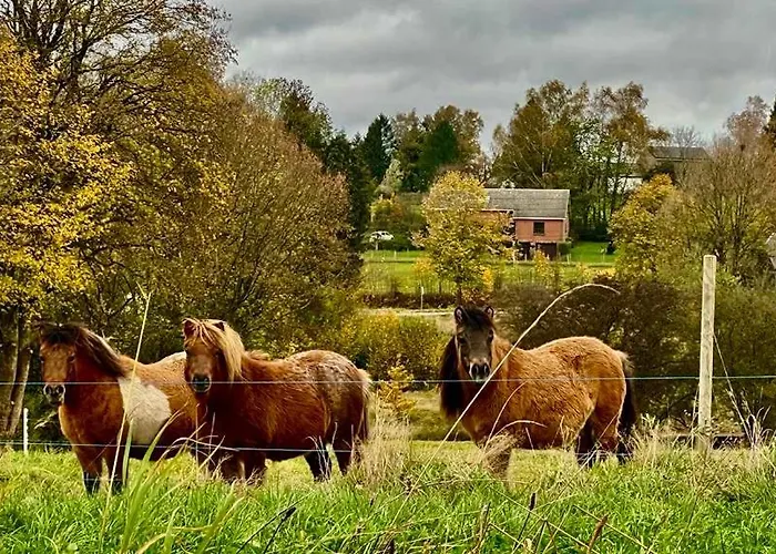 La Maison Attila En Ardennes Hébergement de vacances Libin