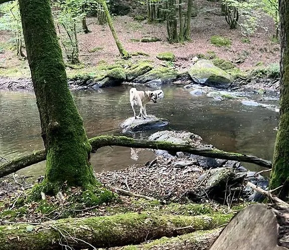 La Maison Attila En Ardennes