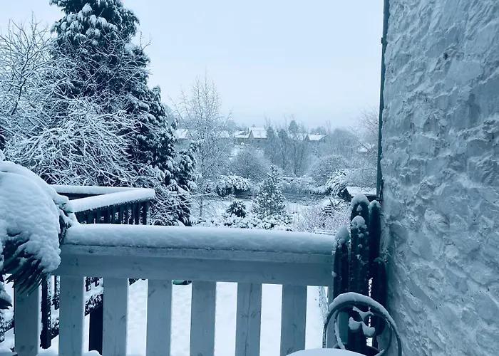 La Maison Attila En Ardennes Libin